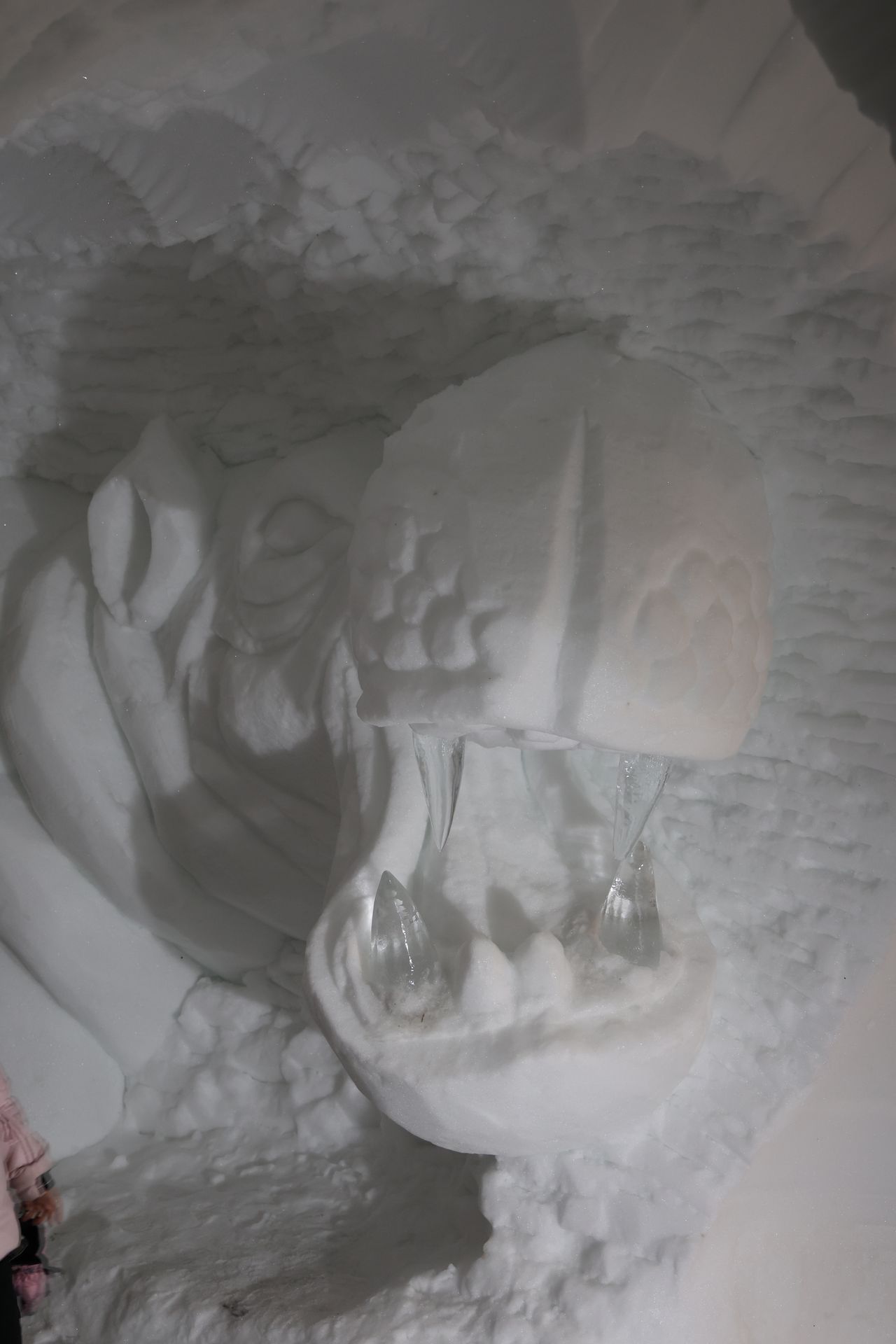 Grotte de glace