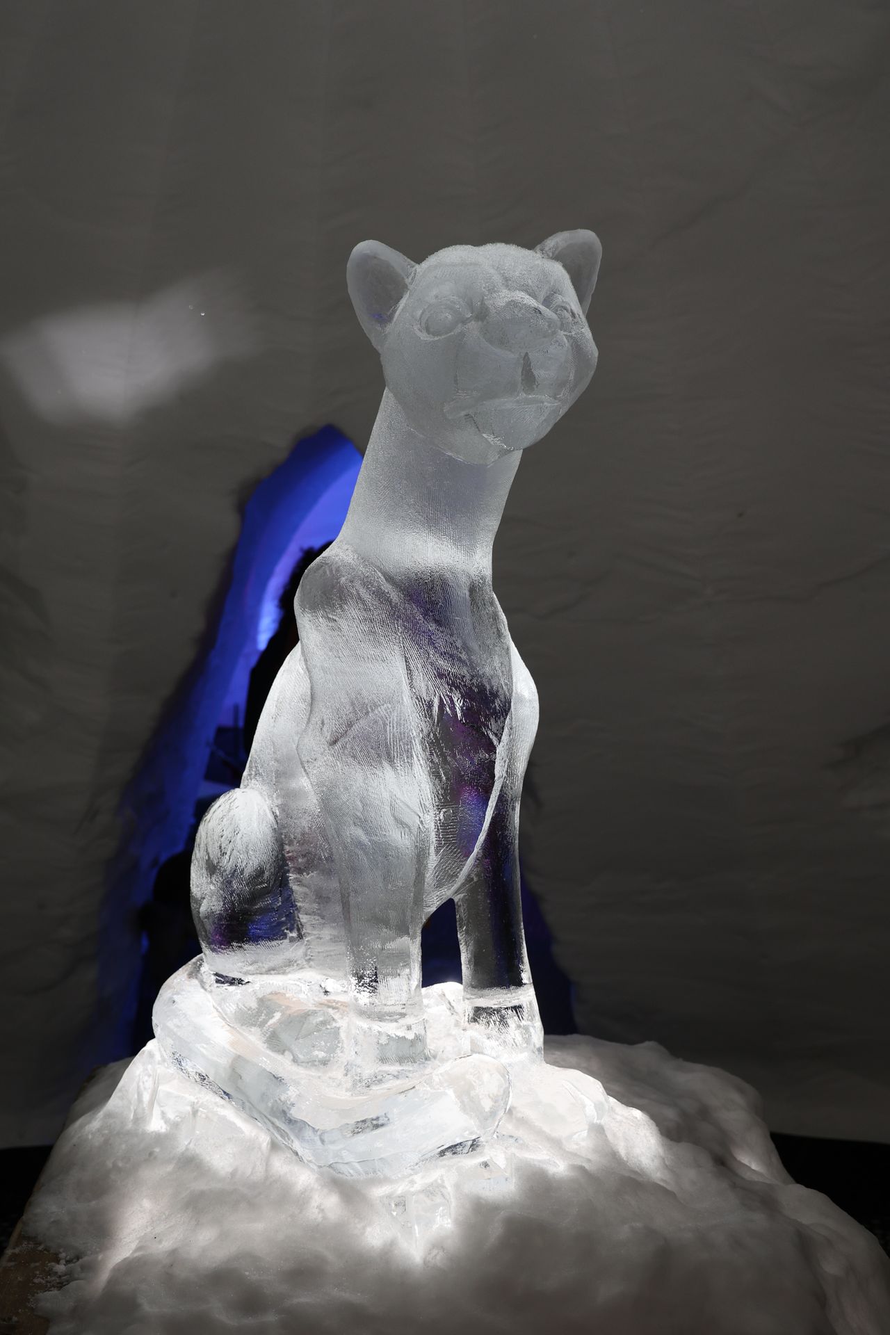 Grotte de glace