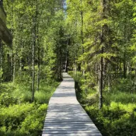 randonnée dans un parc national finlandais