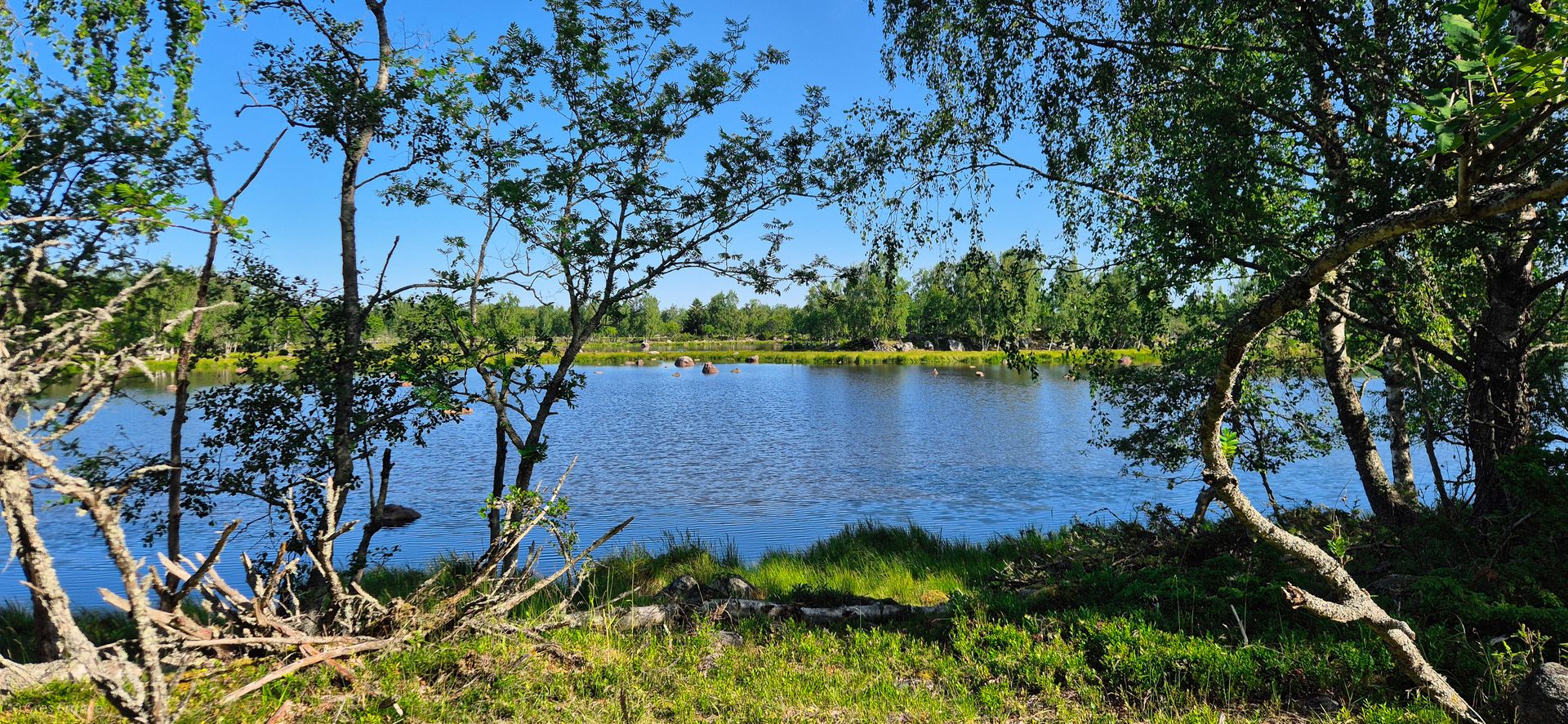Kvraken National park