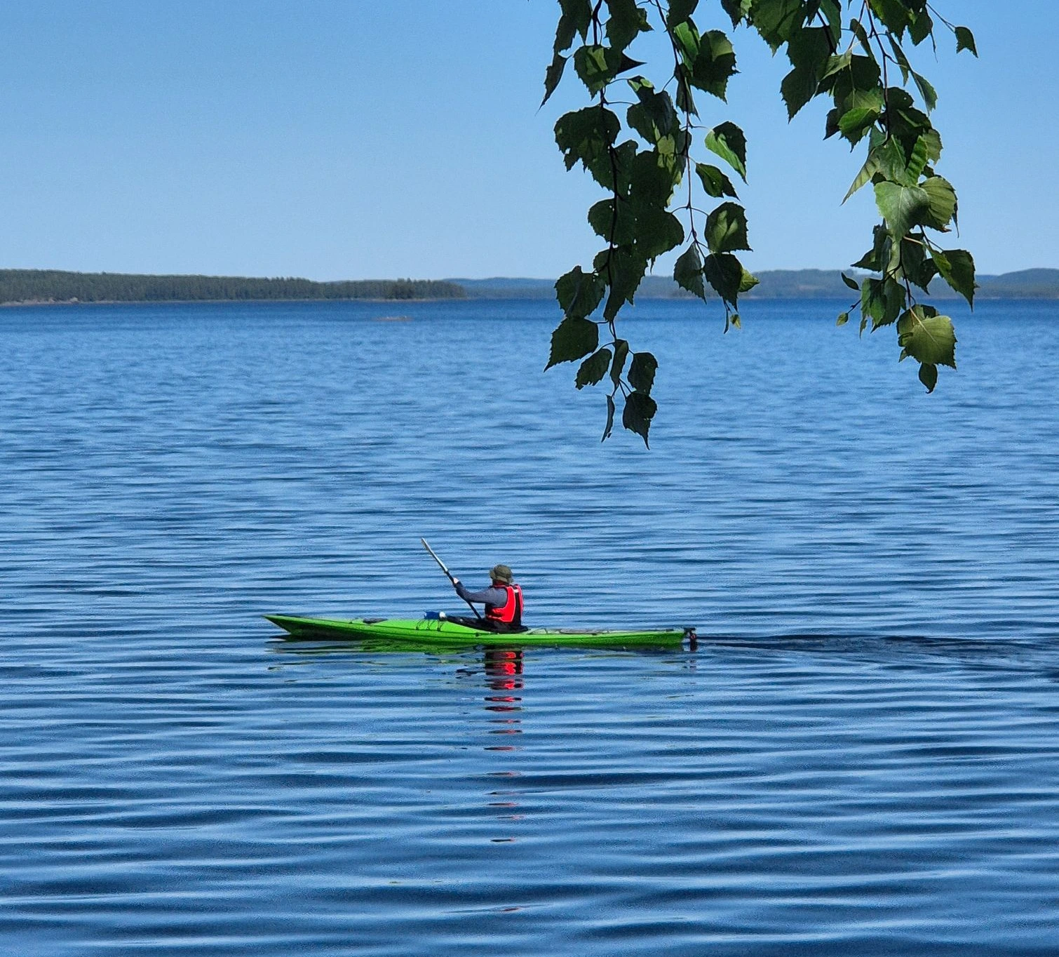 Koli national park