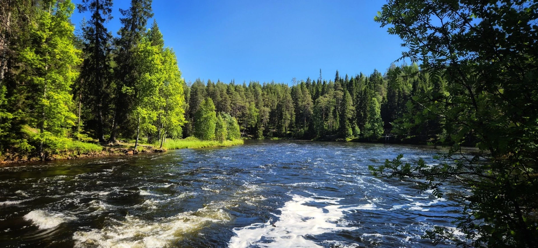 Oulanka national park
