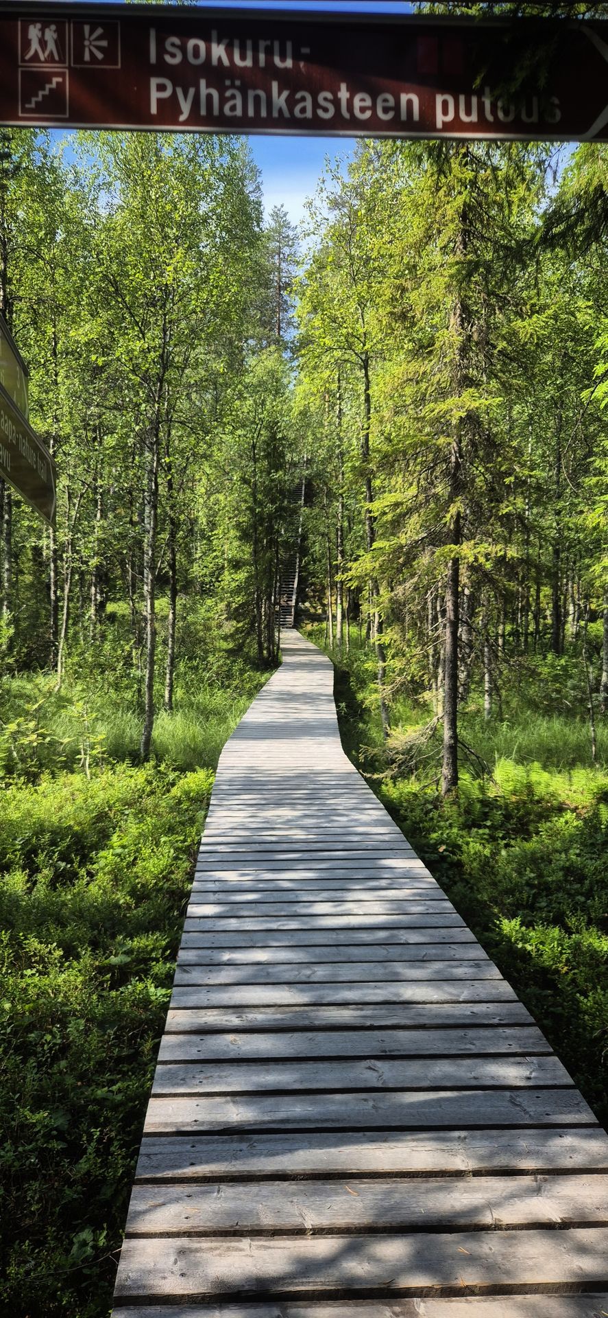 Sentier de randonnée en Filande