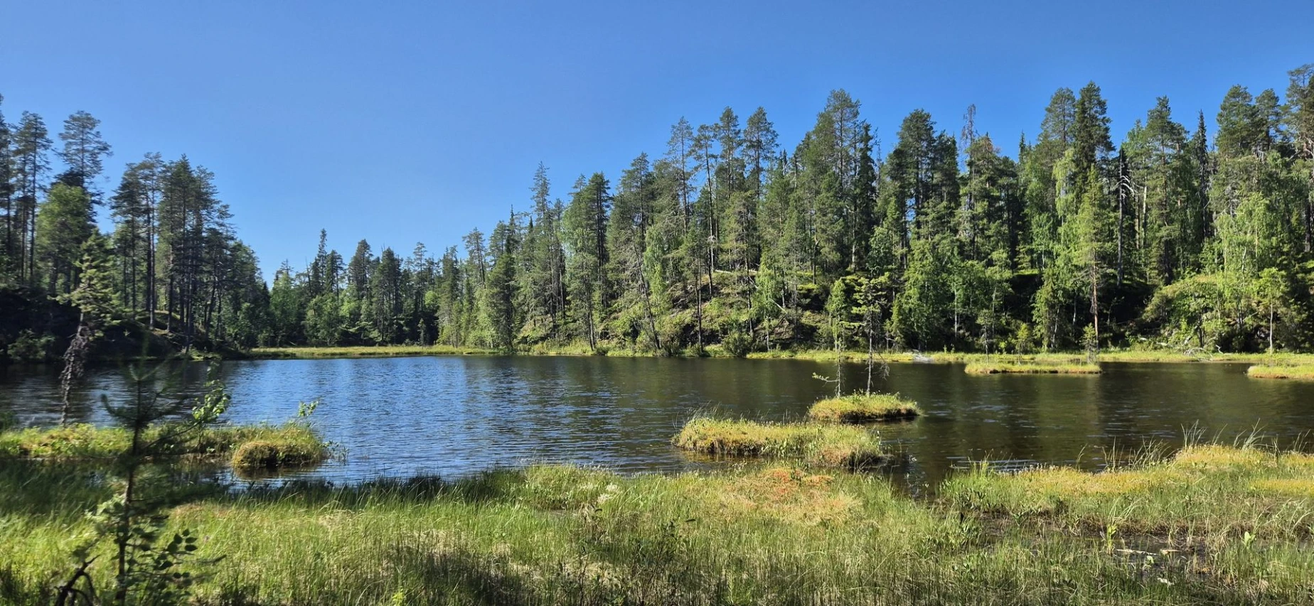 Oulanka national park