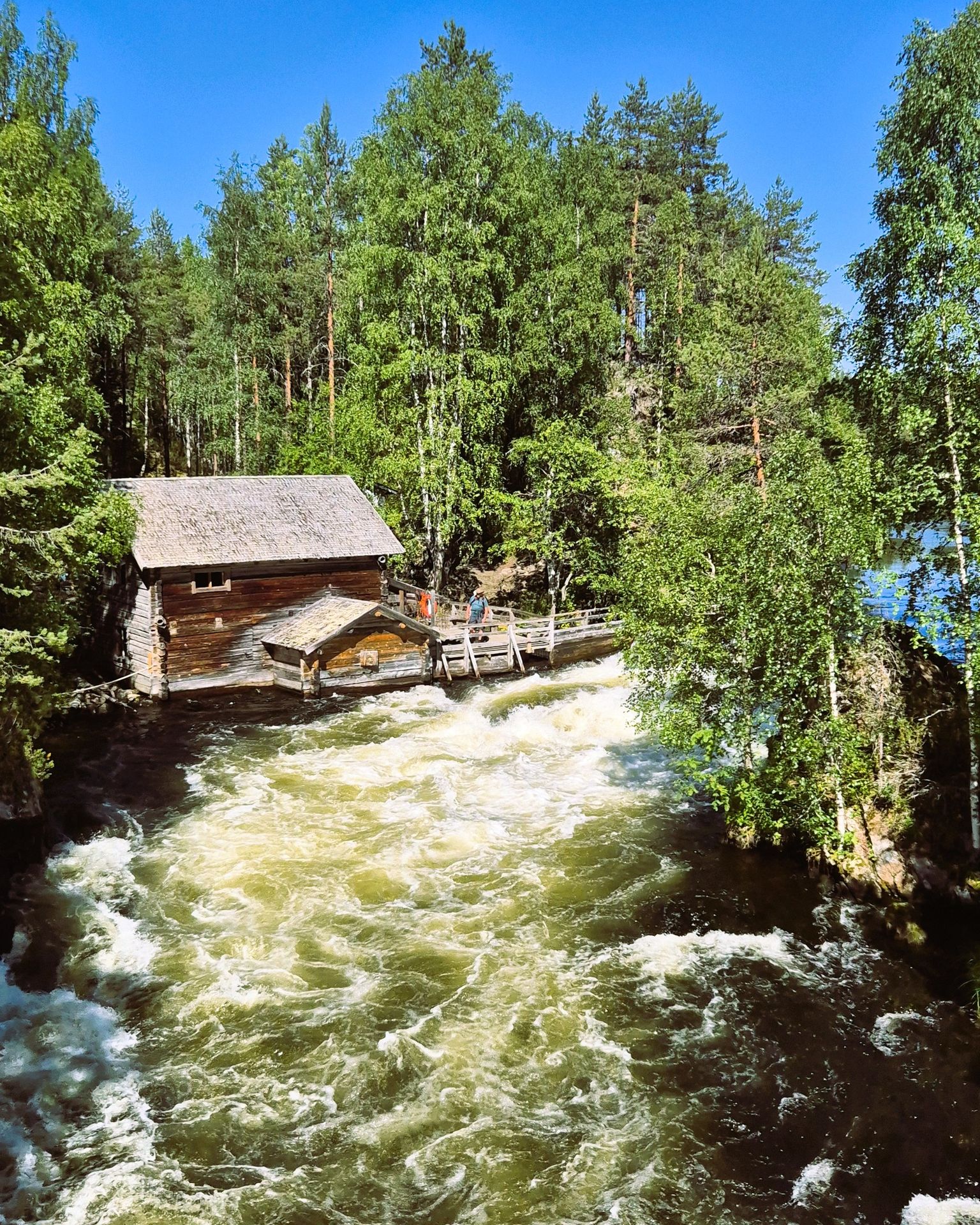 Oulanka national park