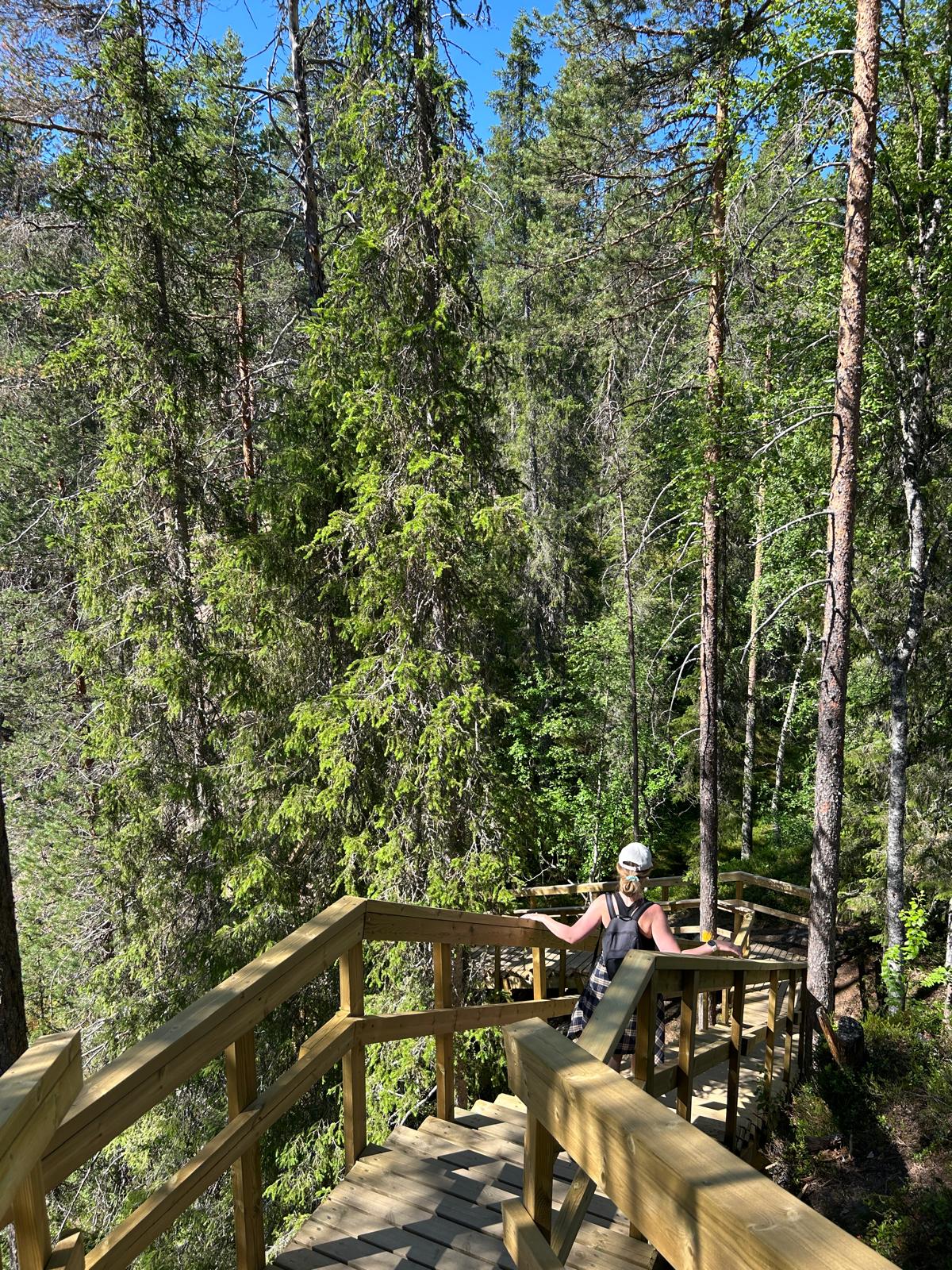 Oulanka national park