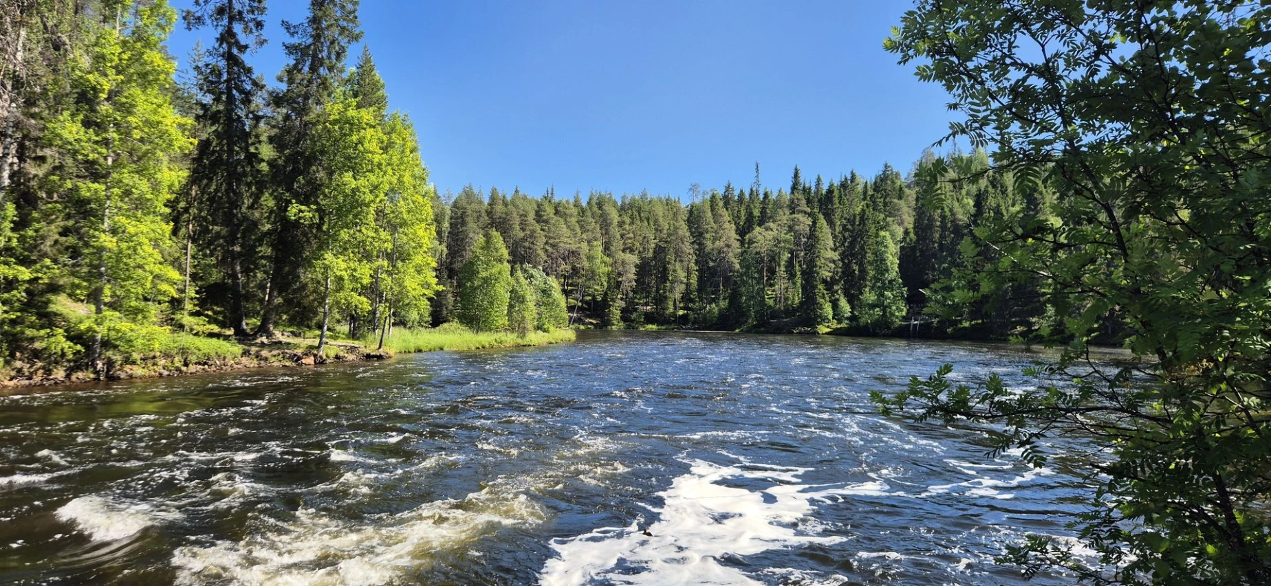 Oulanka national park