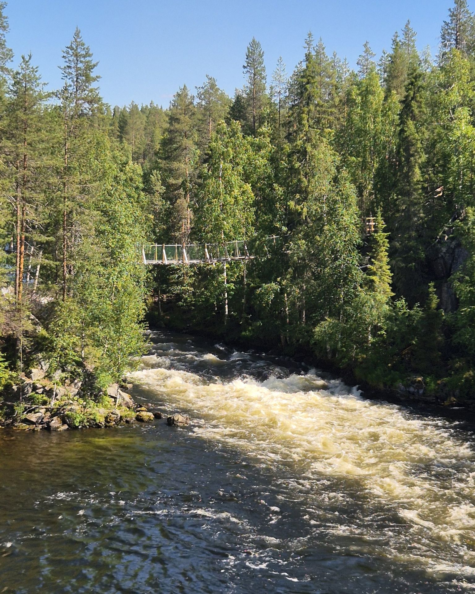 Oulanka national park